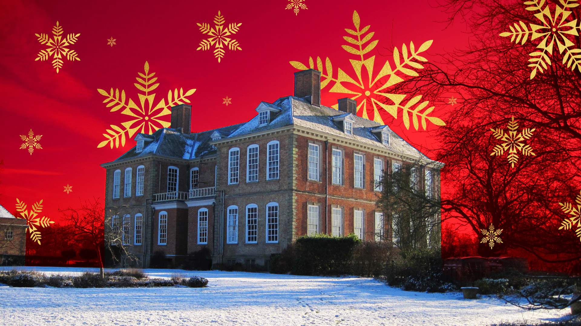 Festive Afternoon Tea & Hall Tour