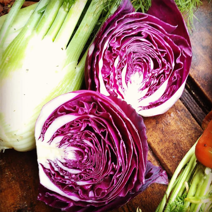 Stanford Community Farm