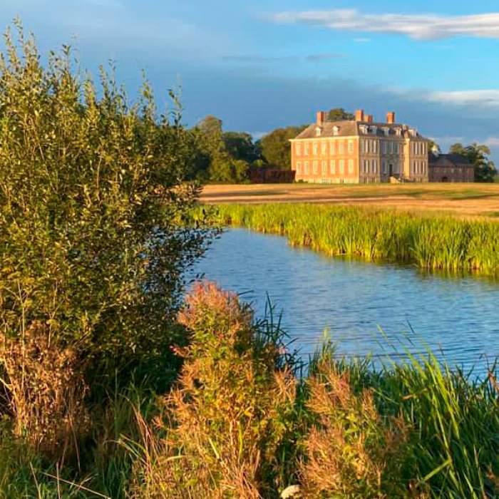 Restoration and Conservation